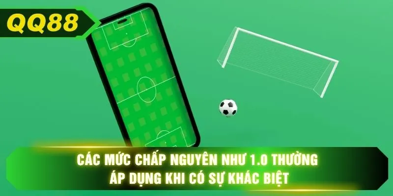 Các mức chấp nguyên như 1.0 thường áp dụng khi có sự khác biệt