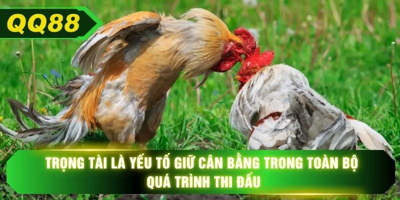 Trọng tài là yếu tố giữ cân bằng trong toàn bộ quá trình thi đấu